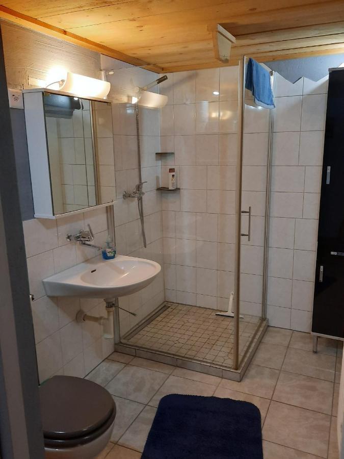 Berner Oberland Appartement Därligen Buitenkant foto